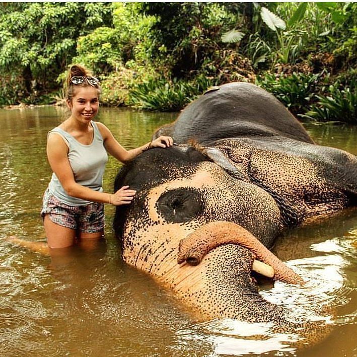 Elephants Love @ millennium elephant foundation - Sri Lanka https ...