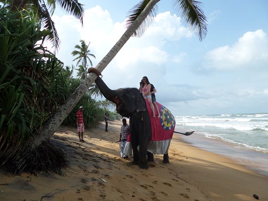 Ambalangoda Beach - Picture of Hotel Italia, Ambalangoda - Tripadvisor
